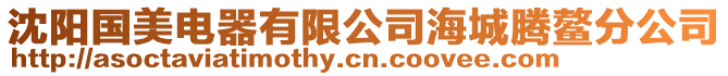 沈陽國美電器有限公司海城騰鰲分公司