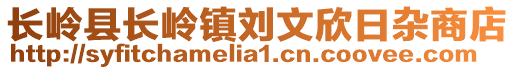 長嶺縣長嶺鎮(zhèn)劉文欣日雜商店