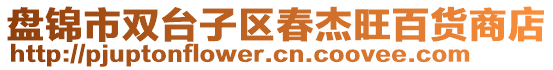 盤錦市雙臺子區(qū)春杰旺百貨商店