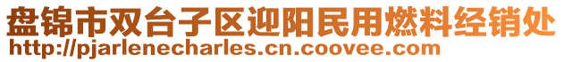 盤(pán)錦市雙臺(tái)子區(qū)迎陽(yáng)民用燃料經(jīng)銷(xiāo)處