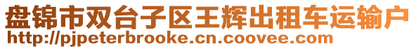 盤錦市雙臺(tái)子區(qū)王輝出租車運(yùn)輸戶