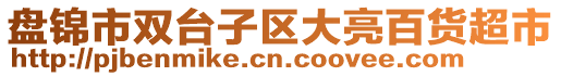 盤錦市雙臺子區(qū)大亮百貨超市