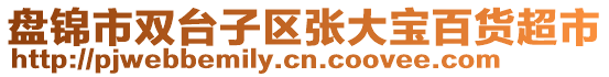 盤錦市雙臺子區(qū)張大寶百貨超市