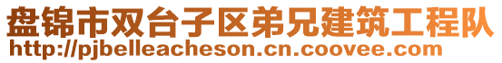 盤錦市雙臺子區(qū)弟兄建筑工程隊