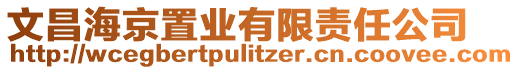 文昌海京置業(yè)有限責任公司