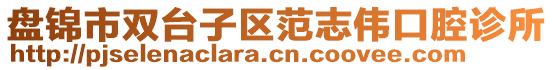 盤錦市雙臺(tái)子區(qū)范志偉口腔診所