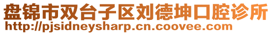 盤錦市雙臺子區(qū)劉德坤口腔診所