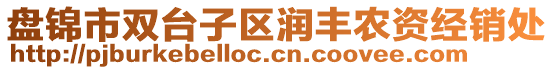 盤(pán)錦市雙臺(tái)子區(qū)潤(rùn)豐農(nóng)資經(jīng)銷(xiāo)處