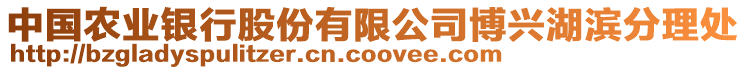 中國農業銀行股份有限公司博興湖濱分理處