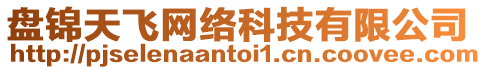 盤(pán)錦天飛網(wǎng)絡(luò)科技有限公司