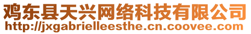 雞東縣天興網(wǎng)絡(luò)科技有限公司