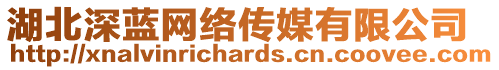 湖北深藍(lán)網(wǎng)絡(luò)傳媒有限公司