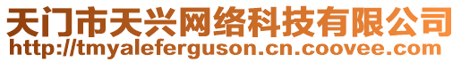 天門市天興網(wǎng)絡(luò)科技有限公司