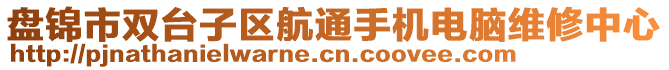 盤(pán)錦市雙臺(tái)子區(qū)航通手機(jī)電腦維修中心