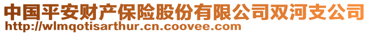 中國(guó)平安財(cái)產(chǎn)保險(xiǎn)股份有限公司雙河支公司