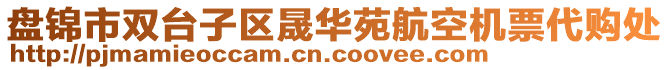 盤錦市雙臺子區(qū)晟華苑航空機票代購處