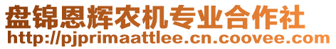 盤錦恩輝農機專業(yè)合作社