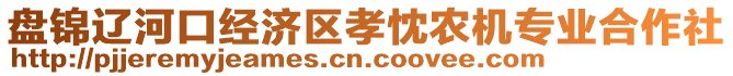 盤錦遼河口經(jīng)濟(jì)區(qū)孝忱農(nóng)機(jī)專業(yè)合作社