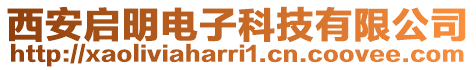 西安啟明電子科技有限公司