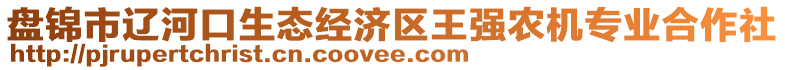 盤錦市遼河口生態(tài)經(jīng)濟區(qū)王強農(nóng)機專業(yè)合作社