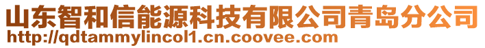 山東智和信能源科技有限公司青島分公司