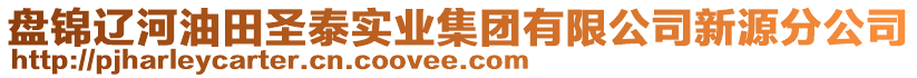 盤(pán)錦遼河油田圣泰實(shí)業(yè)集團(tuán)有限公司新源分公司