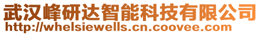 武漢峰研達智能科技有限公司