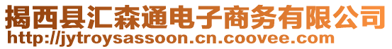 揭西縣匯森通電子商務(wù)有限公司