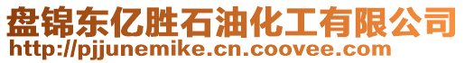 盤錦東億勝石油化工有限公司