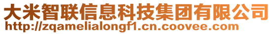 大米智聯(lián)信息科技集團(tuán)有限公司