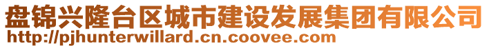 盤錦興隆臺區(qū)城市建設(shè)發(fā)展集團(tuán)有限公司