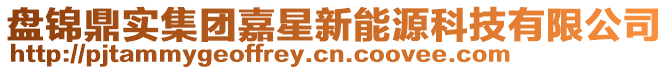 盘锦鼎实集团嘉星新能源科技有限公司