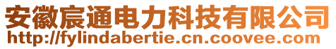 安徽宸通電力科技有限公司