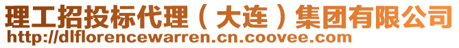 理工招投標(biāo)代理（大連）集團(tuán)有限公司