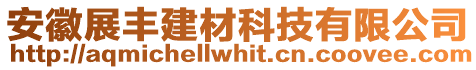 安徽展豐建材科技有限公司