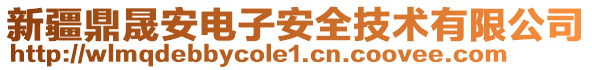 新疆鼎晟安電子安全技術(shù)有限公司