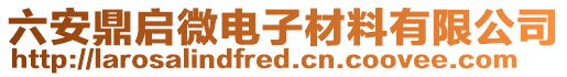 六安鼎啟微電子材料有限公司
