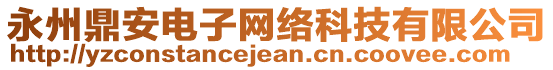 永州鼎安電子網(wǎng)絡(luò)科技有限公司