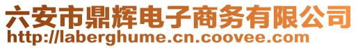 六安市鼎輝電子商務有限公司