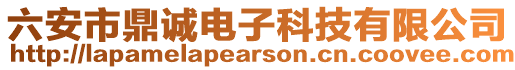 六安市鼎誠電子科技有限公司