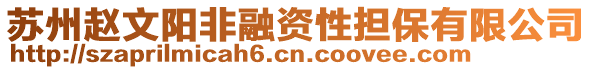 蘇州趙文陽非融資性擔(dān)保有限公司