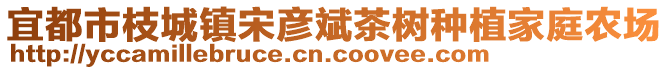 宜都市枝城鎮(zhèn)宋彥斌茶樹種植家庭農(nóng)場