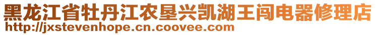 黑龙江省牡丹江农垦兴凯湖王闯电器修理店