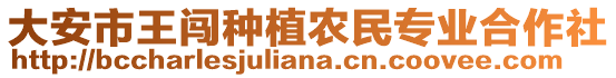 大安市王闖種植農(nóng)民專業(yè)合作社