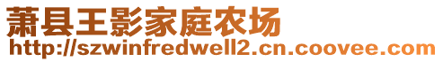 蕭縣王影家庭農(nóng)場