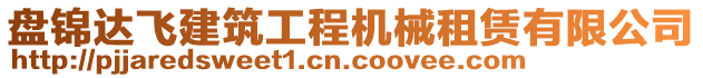 盤錦達飛建筑工程機械租賃有限公司