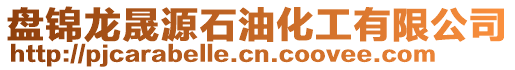 盤(pán)錦龍晟源石油化工有限公司