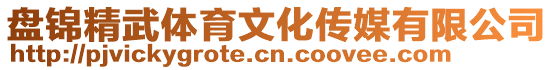 盤錦精武體育文化傳媒有限公司
