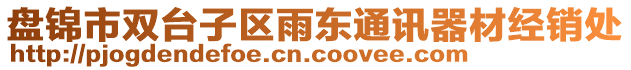 盤錦市雙臺子區雨東通訊器材經銷處