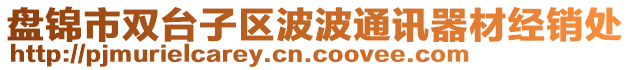 盤(pán)錦市雙臺(tái)子區(qū)波波通訊器材經(jīng)銷(xiāo)處